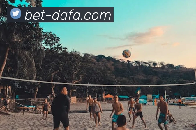 大发官网APP 体育赛事宣传图